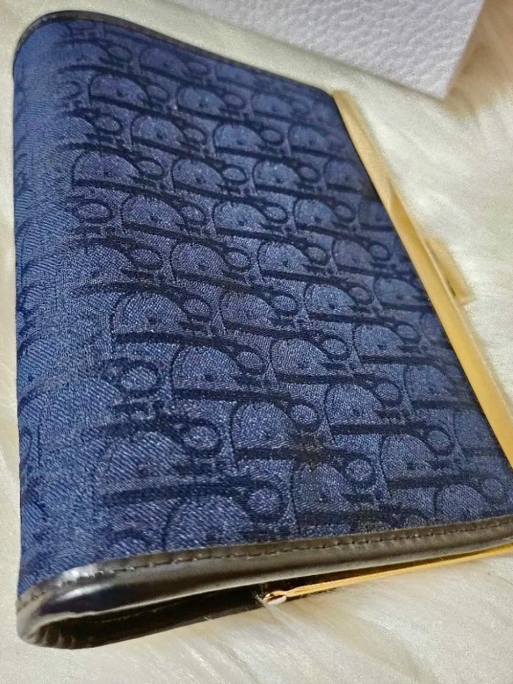 CHRISTIAN DIOR Trotter Canvas Leather-Lined Clutch Gold Hardware